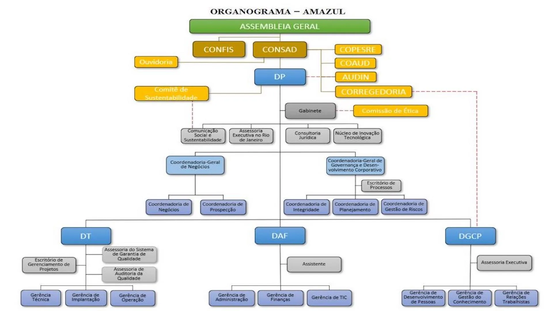 organograma estrutura organizacional