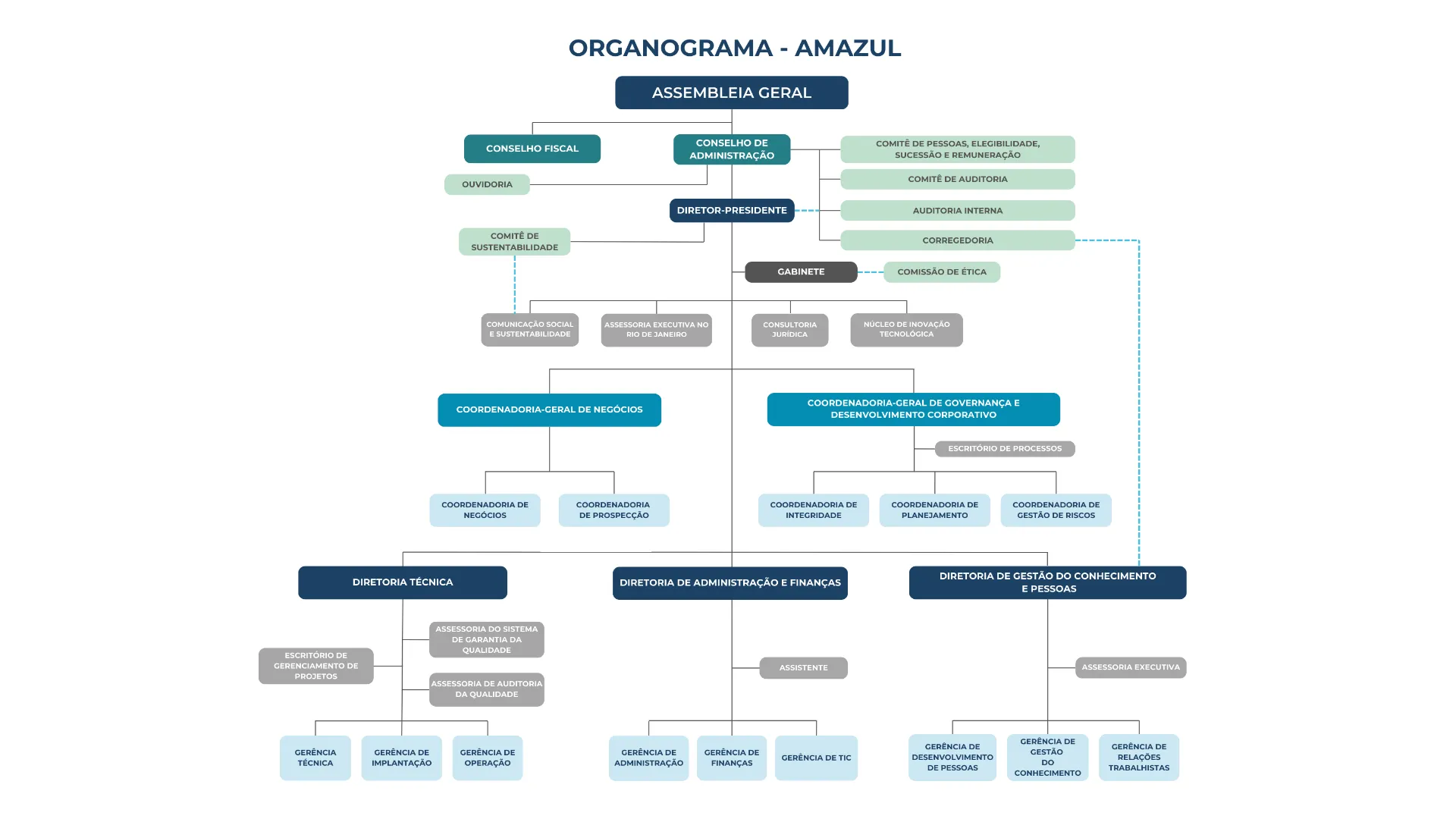 Organograma da Amazul 2024