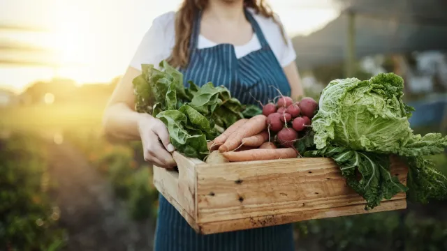 Conservação de alimentos