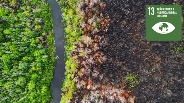 Combate às Mudanças Climáticas